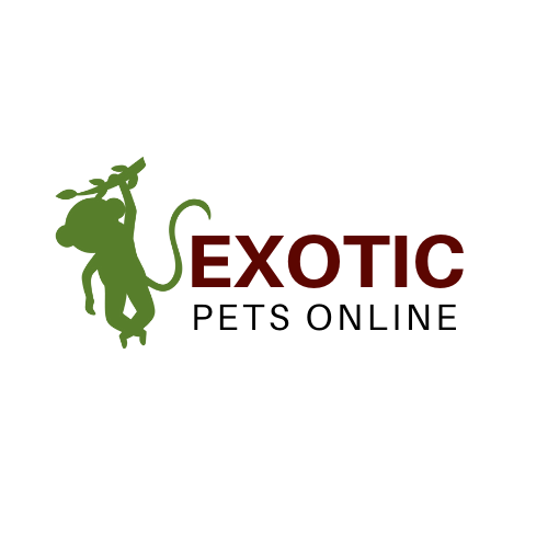 Exotic Pets Online